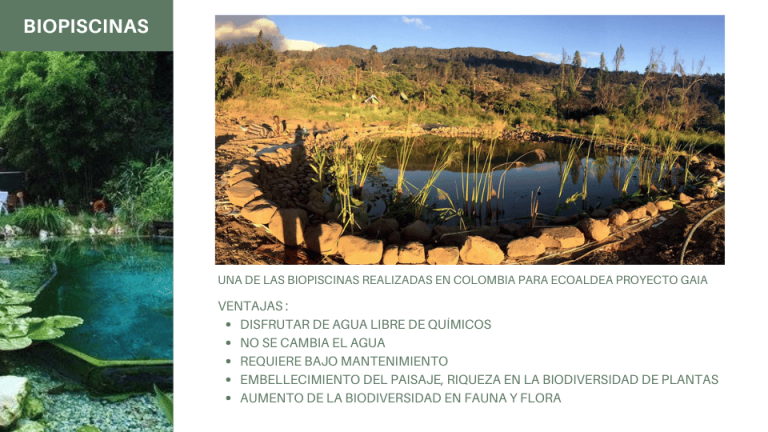 Urbanismo sostenible (6)