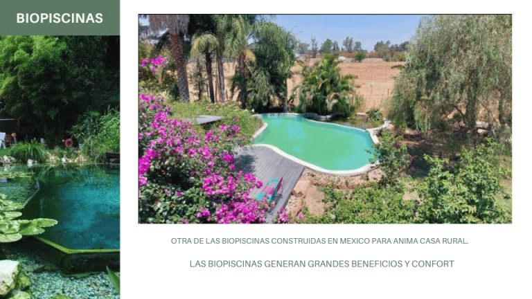desarrollo inmobiliario ecologico (7)